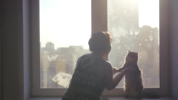 Un hermoso gato se sienta en sus patas traseras y baila con una chica en auriculares contra el telón de fondo de un paisaje urbano con un desenfoque en el sol. cámara lenta. 1920x1080 — Vídeos de Stock