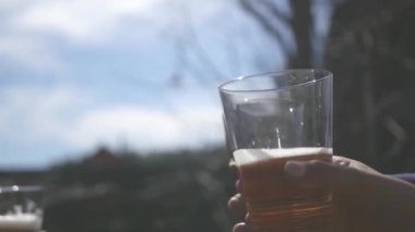 Doğada arkadaş bir şirket ile iyi eğlenceler, gözlük içecekler, kodes gözlük, yavaş mothion ile yükseltin. Full Hd 1920x1080p