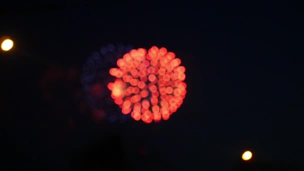 Salut lumineux festif dans le ciel noir nocturne. Au ralenti. 1920x1080 .