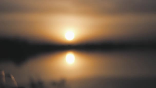 Vänner toast glasögon med drycker på bakgrunden av havet och en vacker gyllene solnedgång. Slow motion full hd 1080p — Stockvideo