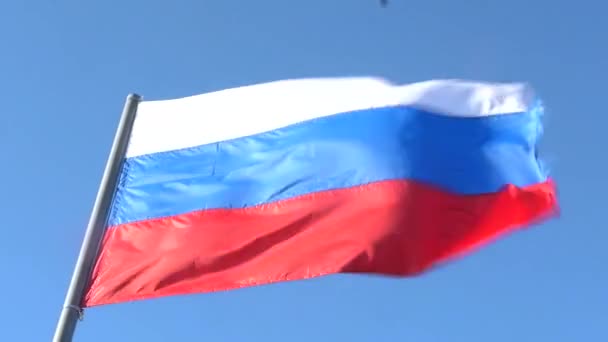 The flag of the Russian Federation is developing in the wind on the blue sky. 1920x1080. full hd. slow motion. — Stock Video