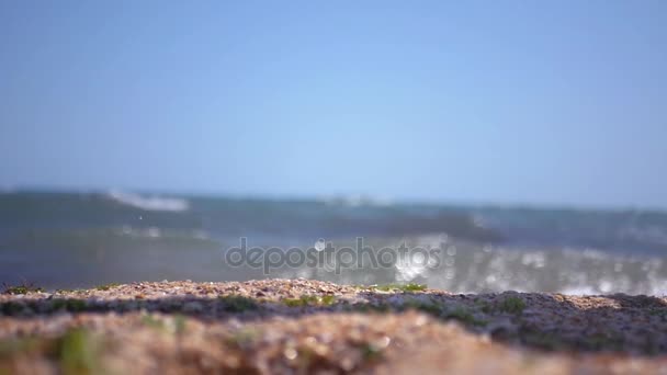 Bare fötter av en man som promenader längs sandstranden vid havet, närbild. HD, 1920 x 1080. slowmotion. — Stockvideo