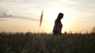 Bir kız günbatımında buğday sahada yürüyor. HD, 1920 x 1080. ağır çekim.