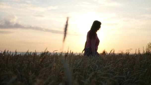 Una ragazza cammina su un campo di grano al tramonto. HD, 1920x1080. rallentatore . — Video Stock