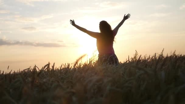 Flickan är överraskad av solnedgången i fältet med vete, händerna upp. HD, 1920 x 1080. slowmotion. — Stockvideo