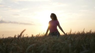 Buğday alanında günbatımında iplik. HD, 1920 x 1080. ağır çekim.