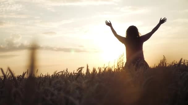 Flickan tog upp sina händer för att möta solen och solnedgången, stående i fältet vete. HD, 1920 x 1080, Slowmotion. — Stockvideo