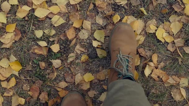 Wandel langs de herfst park en geel loof in mooie flessen op veters. Slowmotion, Hd, 1920 x 1080 — Stockvideo