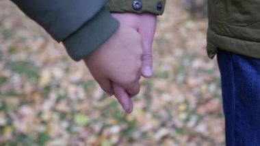 Aşık sonbahar parkta elele yürümek. Slowmotion, Hd, 1920 x 1080