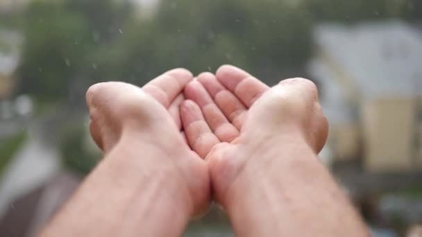 Profitez de la pluie dans la ville, palme vers le haut. ralenti, 1920x1080, En Haute Qualité — Video