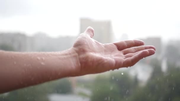 Extiende tu mano bajo la lluvia, disfruta de la frescura del clima. slow motion, 1920x1080, Gran Pito — Vídeos de Stock