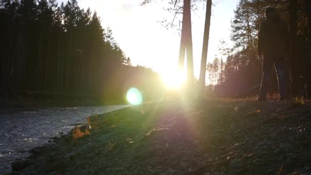 Чоловік гуляє в лісі вздовж берега річки, йде назустріч заходу сонця в промені сонця. повільний рух, 1920x1080, повний HD — стокове відео