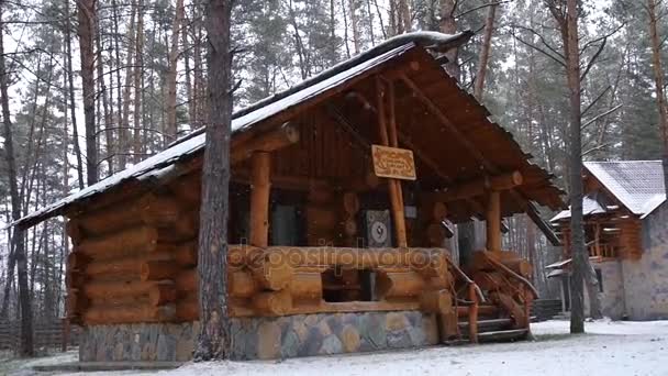 Bela casa cortada feita de madeira em uma floresta de pinheiros em uma queda de neve. câmera lenta, 1920x1080, hd completo — Vídeo de Stock