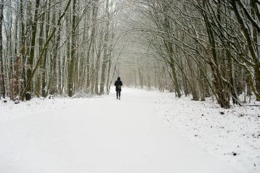Kış ormanında yürüyen bir kadın