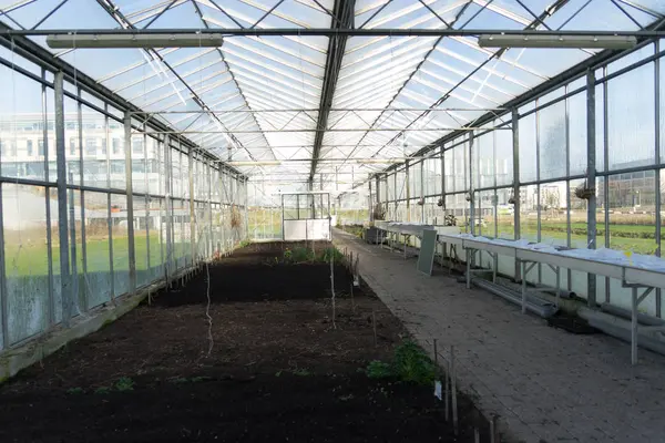 Greenhouse from inside — Stock Photo, Image