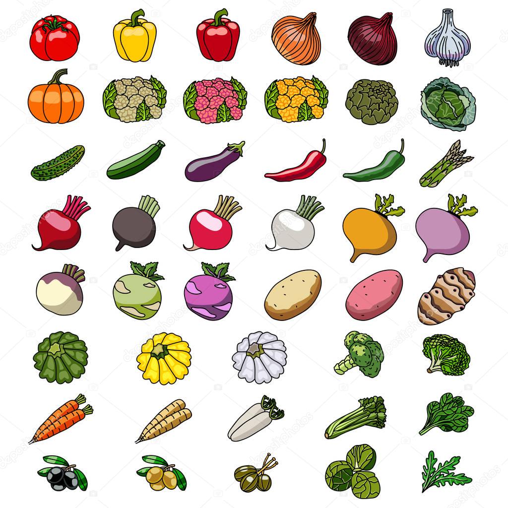 Vector icons of vegetables. Sketches.