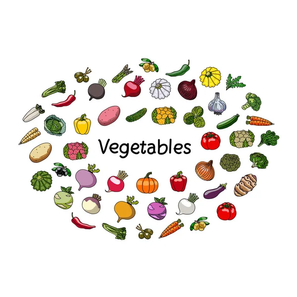Sayuran vektor dan kata. Vegetarianisme . - Stok Vektor