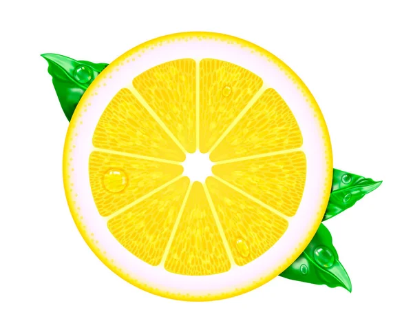 矢量逼真的柠檬 网格渐变中的插图 免版税图库插图