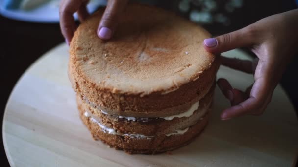 Bäcker bereitet geschichteten Biskuitkuchen zu — Stockvideo