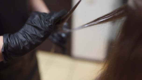 Cabeleireiro faz coloração de cabelo no estúdio de beleza, mulher muda seu olhar, coloração profissional e cuidado do cabelo, negócio de beleza — Vídeo de Stock