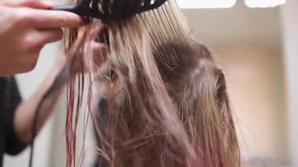 Il parrucchiere asciuga capelli di donne dopo lavaggio, la donna fa il nuovo taglio di capelli in studio di bellezza, salone di salute e bellezza — Video Stock