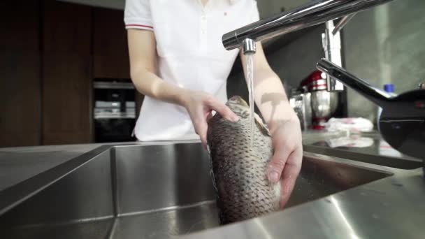 El cocinero corta y adoba pescado, comidas de pescado, comida dietética, proceso de hacer plato de pescado — Vídeos de Stock