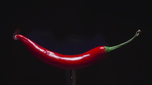 热红辣椒、 烤辣椒、 辣味、 认证费菜，素食，素食主义者在家做饭的蔬菜沙拉 — 图库视频影像