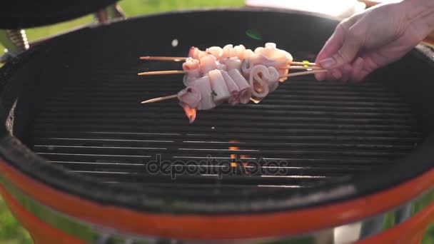 Calamari zijn grillen op de rode kolen van de barbecue in de zomer, zeevruchten barbecue, geroosterde vis, Aziatische keuken, buiten koken, barbecue party, familie diner op het platteland — Stockvideo