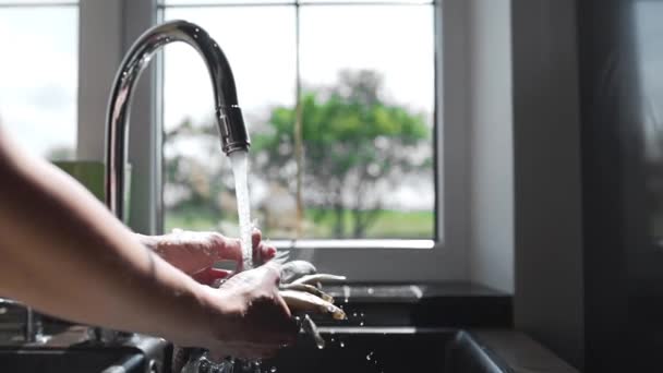 Koch wäscht die kleinen rohen Fische unter fließendem Wasser vor dem Kochen, Capelin- und Sprottenfisch, Küche mit Meeresfrüchten, Gericht mit Fisch — Stockvideo