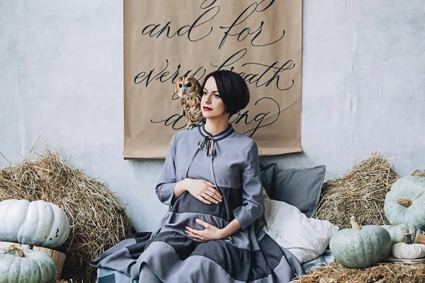 Mulher grávida caucasiana com maquiagem em vestido cinza abraça sua barriga com coruja sentada em seu braço, retrato da futura mãe, gravidez feliz, retrato de moda, mulher de vestido — Fotografia de Stock