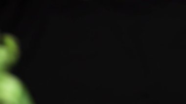 Taze yeşillik yavaş hareket, süper ağır çekim, yüksek kare hızı, saniyede 240 kare gıda aşağı düşüyor