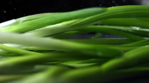 Stonky zelené cibulky spadá do tabulky v super zpomaleně, jídlo v pomalém pohybu, čerstvé zelené a zeleninu, 240 snímků za druhé, zdravé potraviny — Stock video