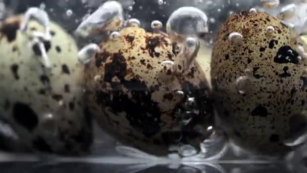 Jaja przepiórcze w wrzącej wodzie z dużą ilością pęcherzyków w zwolnionym tempie, jedzenie w super zwolnionym tempie i 240 klatek na sekundę — Wideo stockowe