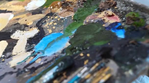 Artist készít ecsetek és a paletta, festés, vizuális művészetek létrehozása előtt, a festő festék egy olaj festmény egy stúdióban — Stock videók