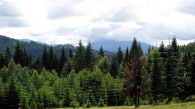 Ukraynalı Karpatlar, Skole Beskydy
