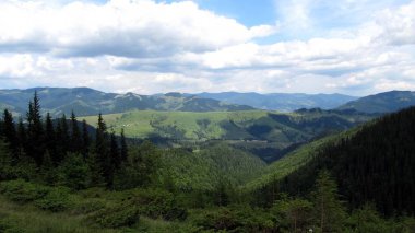 Ukrayna Karpatları, Doğa Koruma Alanı