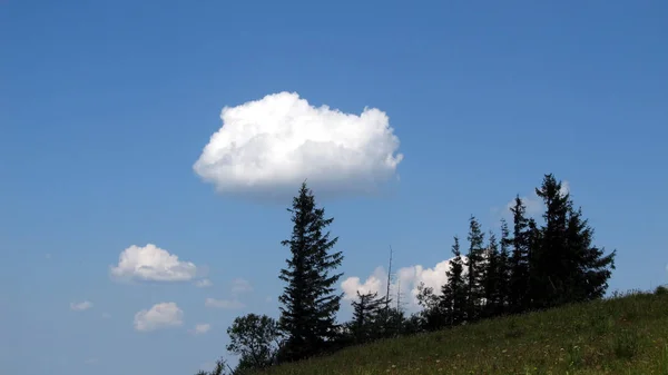 Ukraynalı Karpatlar, Skole Beskydy