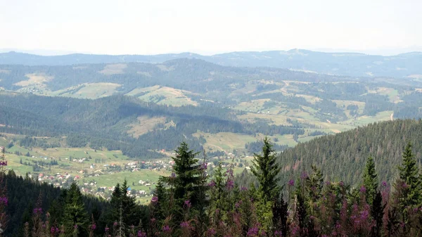 Ukraińscy Karpaty Skole Beskidy — Zdjęcie stockowe