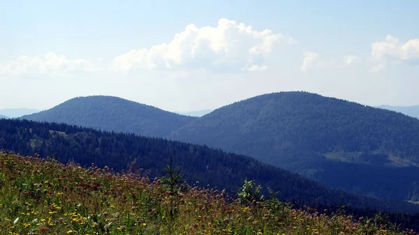 Ukrainische Karpaten Skole Beskydy — Stockfoto