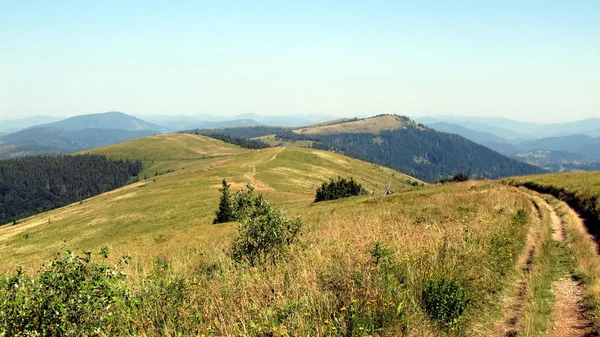 Ukraynalı Karpatlar, Skole Beskydy