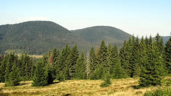 Ukraynalı Karpatlar, Skole Beskydy,