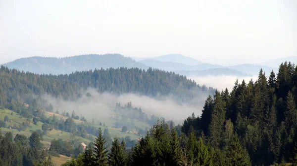 Ukraynalı Karpatlar, Skole Beskydy,