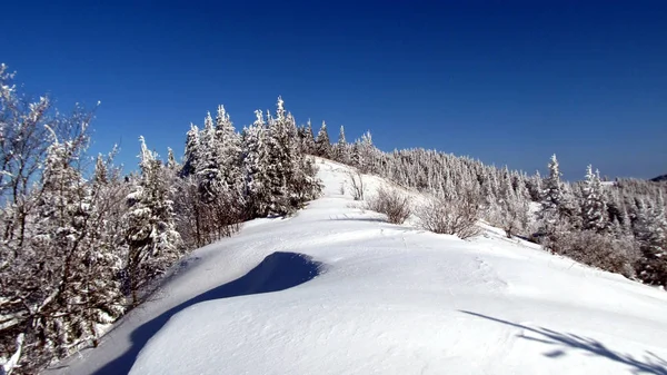 Ukraynalı Karpatlar, Skole Beskydy,