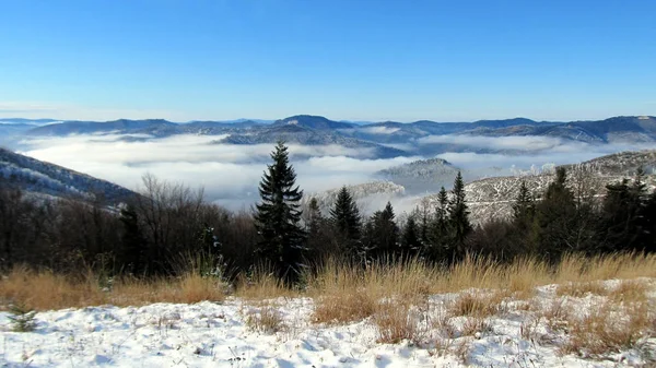 Ukraynalı Karpatlar, Skole Beskydy,