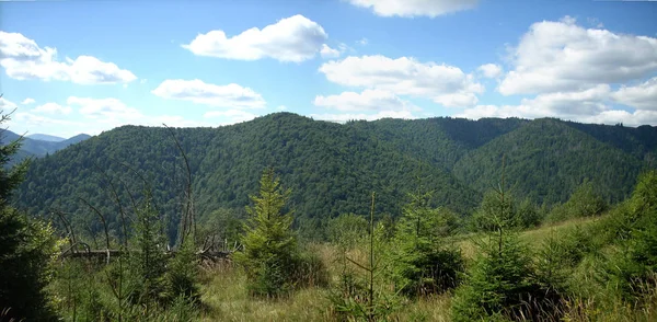 Ukraynalı Karpatlar, Skole Beskydy 