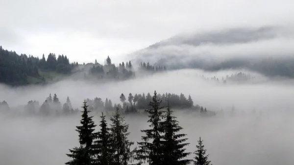 Ukraynalı Karpatlar, Skole Beskydy