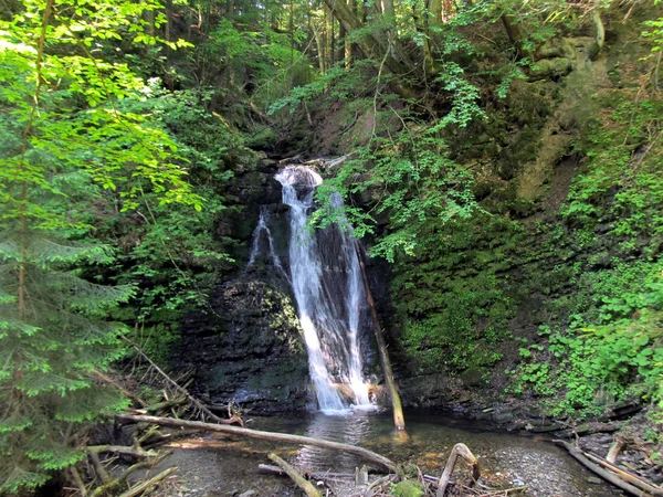 Ukraynalı Karpatlar, Skole Beskydy