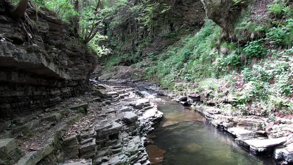 Ukraynalı Karpatlar, Skole Beskydy