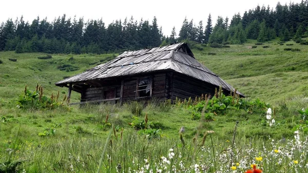 Ukrayna Karpatları, Doğa Koruma Alanı,