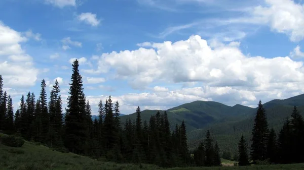 Oekraïense Karpaten Natuurreservaat — Stockfoto